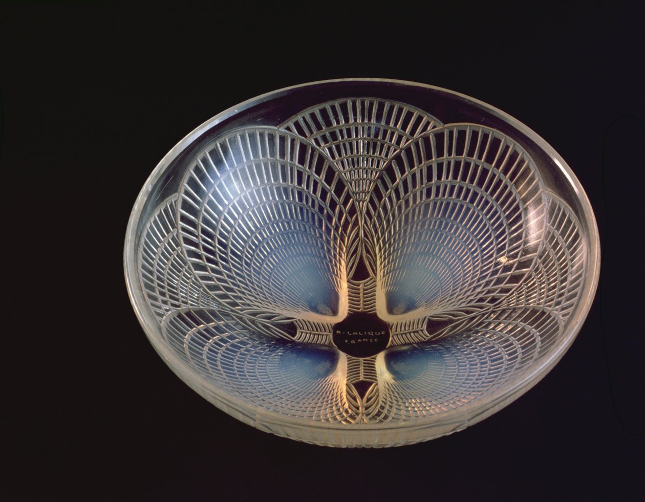 Coquilles, en opaliserende glasvase støbt med overliggende kammuslingskaller af Lalique af Rene Jules Lalique