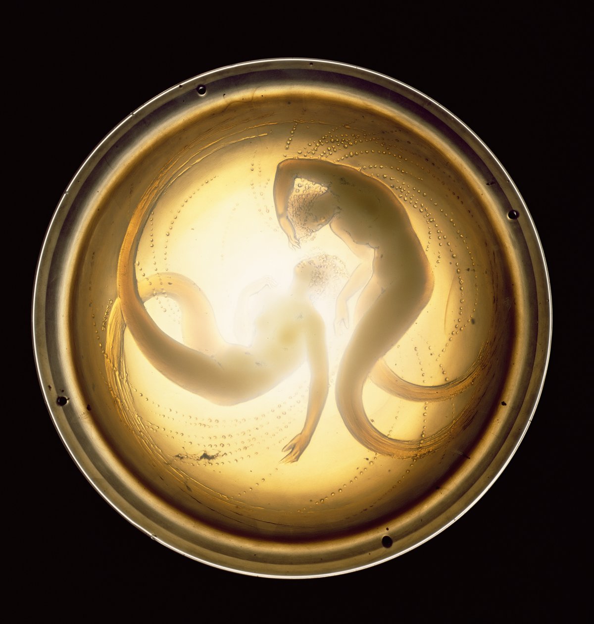 To Siren loftslamper (glas) af Rene Jules Lalique
