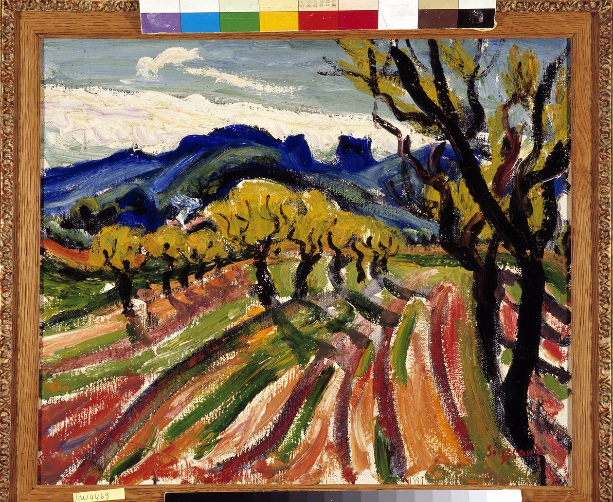 Felt med oliventræer i Alpilles (olie på lærred) af Rene Auguste Seyssaud