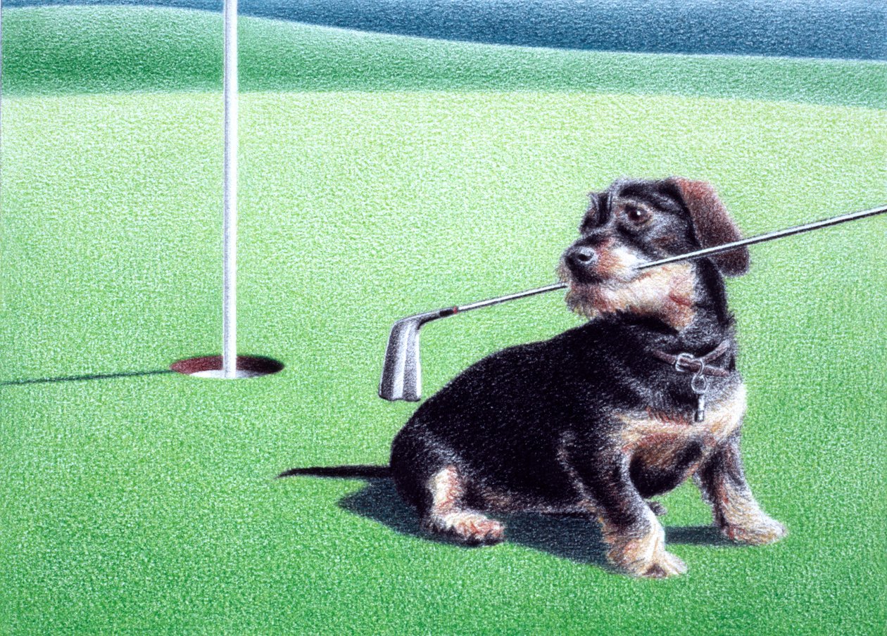Gravhund af Rene Boin