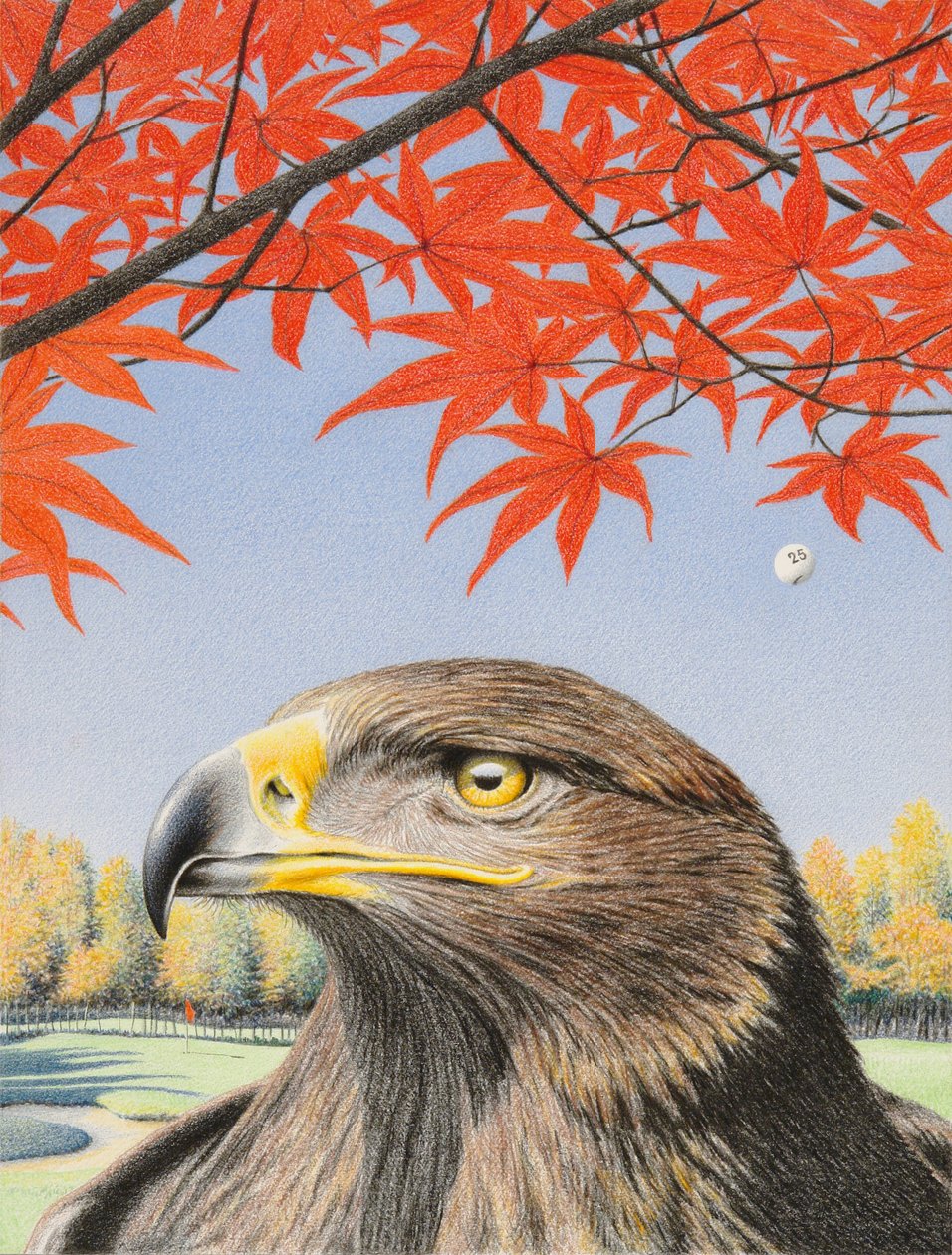 Eagle, 2015, farveblyantstegning på papir af Rene Boin