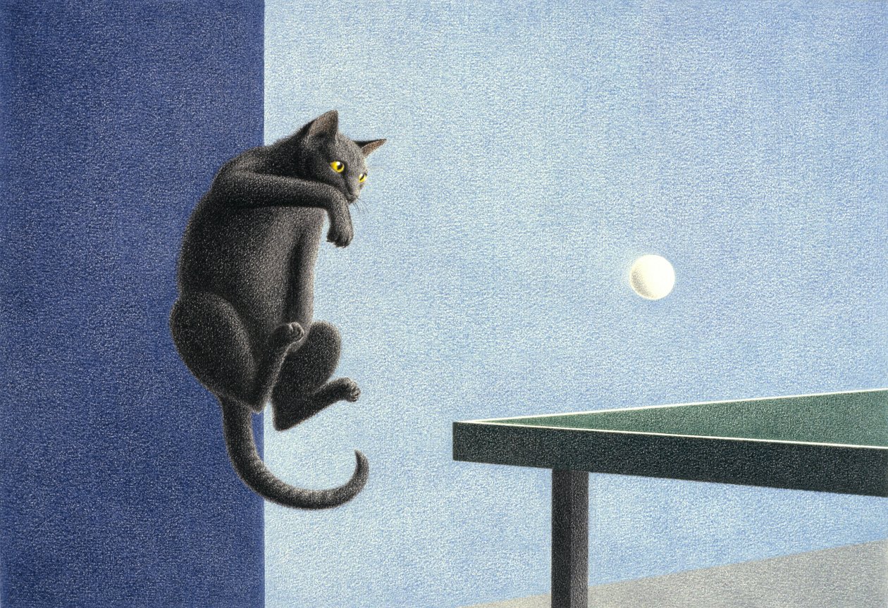 Bordtennis af Rene Boin