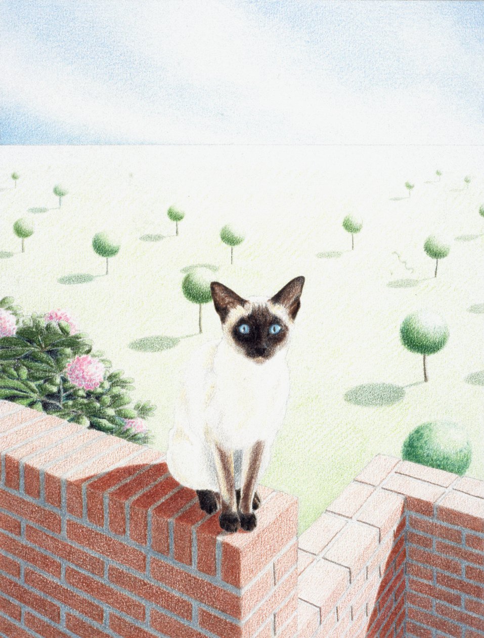 Saké af Rene Boin