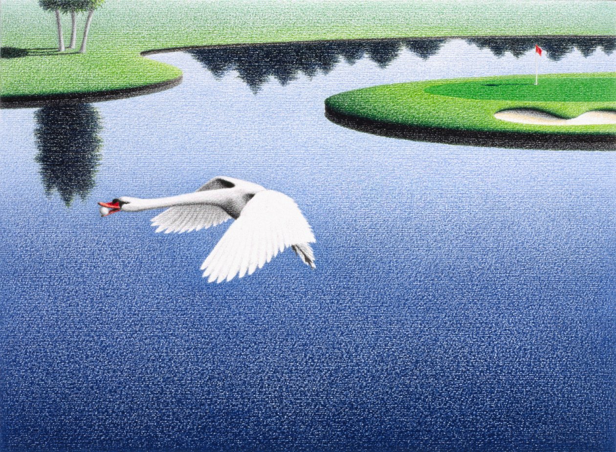 Swanlake af Rene Boin