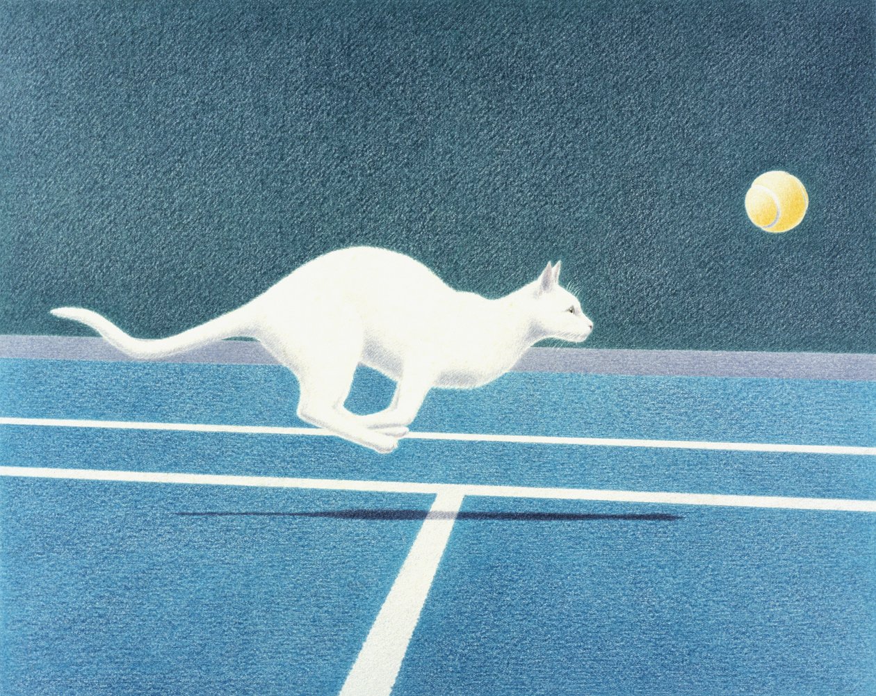 Tennis af Rene Boin