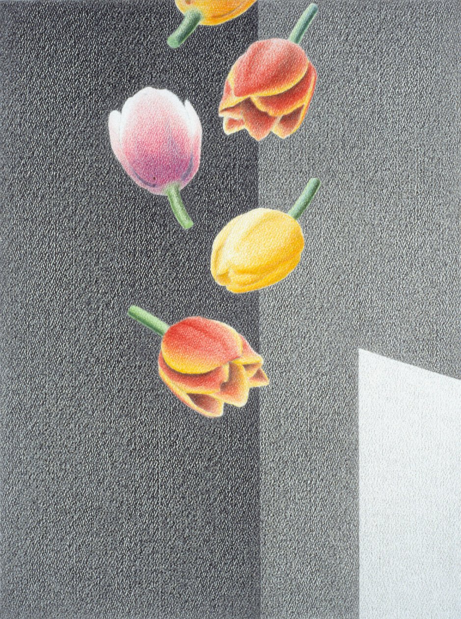 Tulipaner af Rene Boin