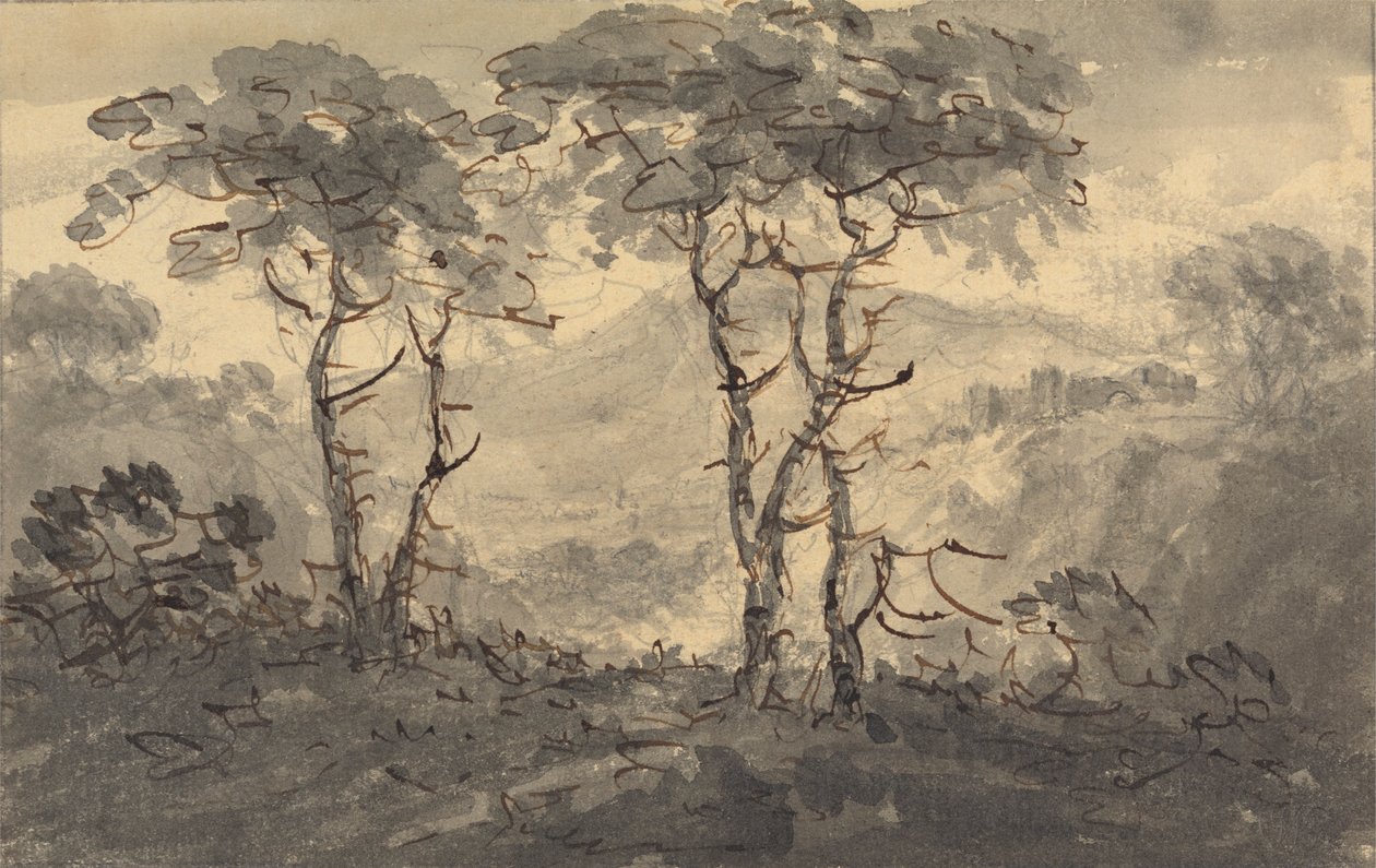 Grantræer i et bjerglandskab af Rev. William Gilpin