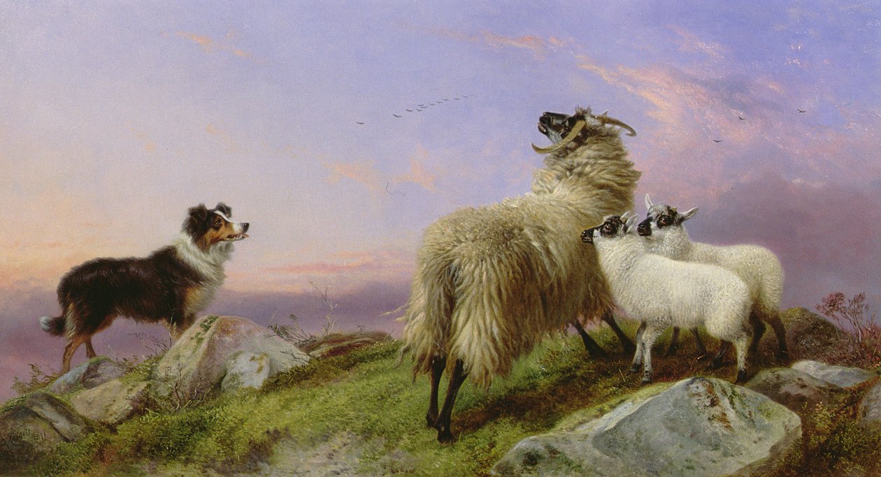 Collie, moder og lam af Richard Ansdell