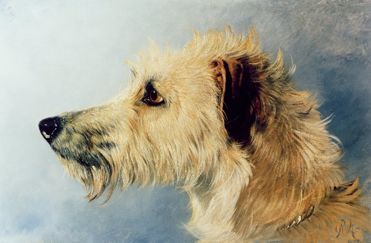 Hoved af en hund af Richard Ansdell