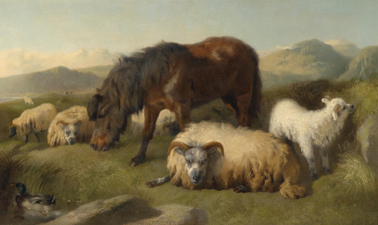 Geder, får og en pony af Richard Ansdell