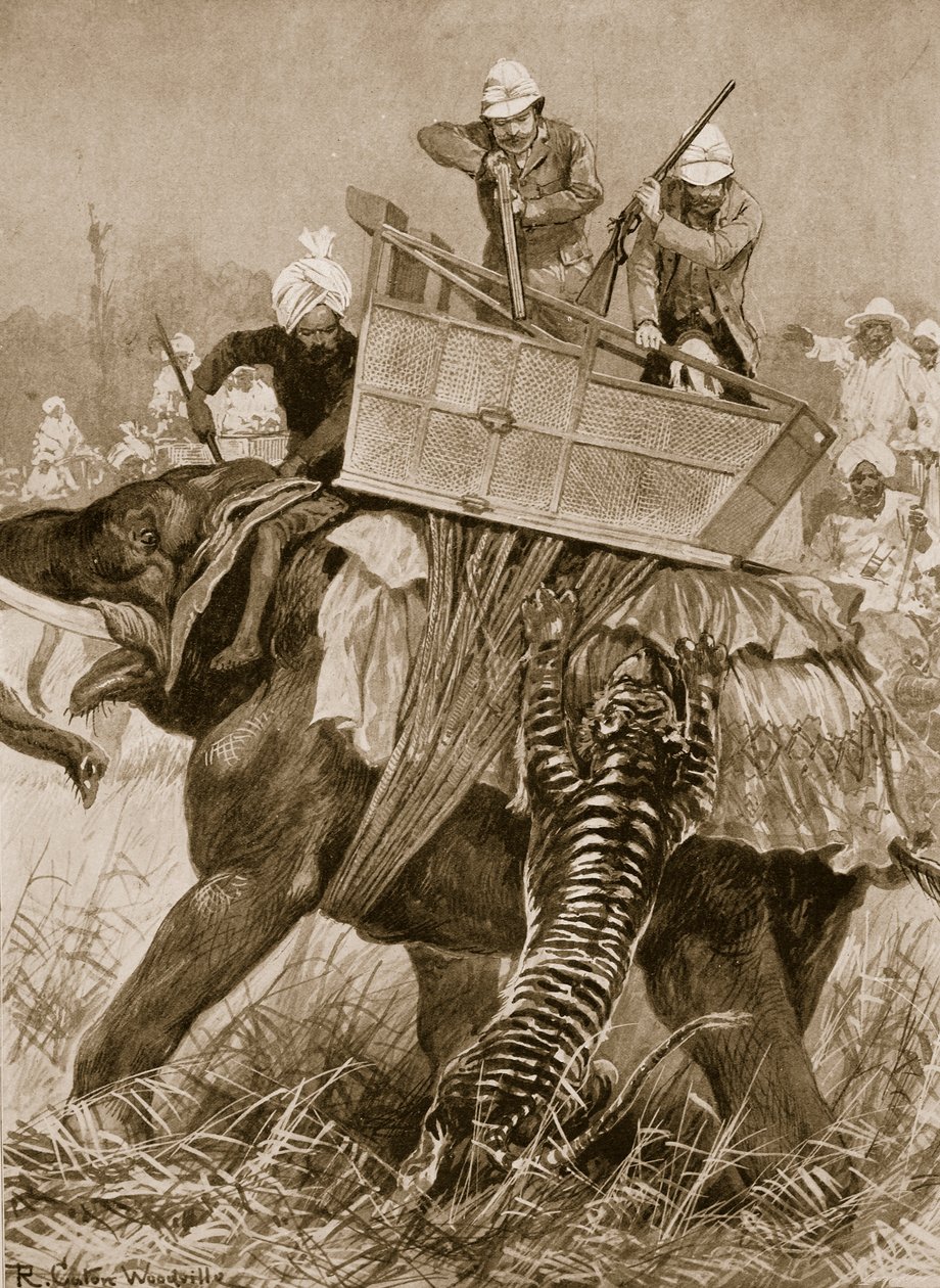 Prinsen af Wales besøg i Indien, 1876: Prinsens elefant opladt af en tiger i Nepaul Terai, 21. februar fra 