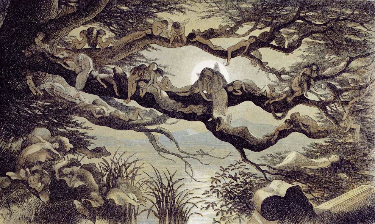 Sover i måneskin af Richard Doyle
