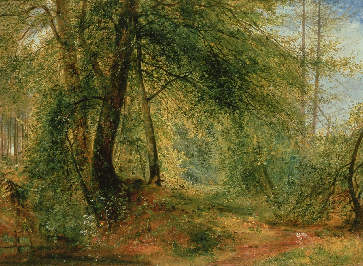The Woodland Mirror, 1800-tallet af Richard Redgrave