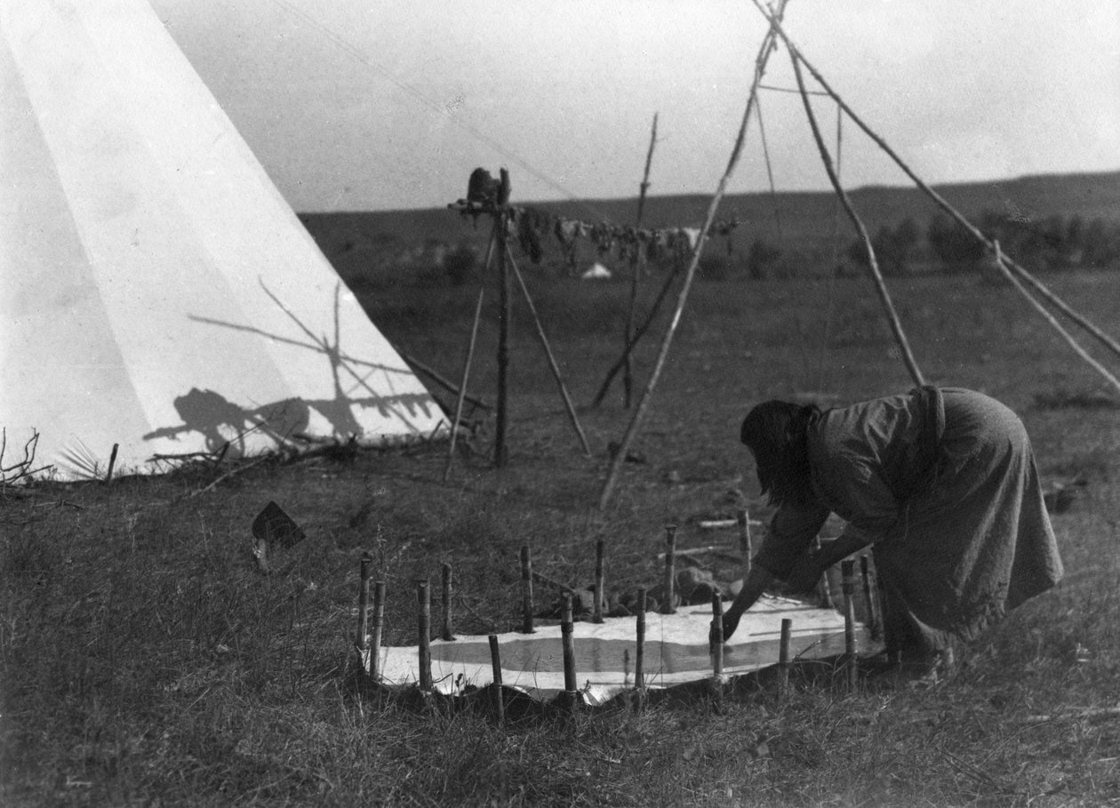 Skrabning af skindet, ca.1902-11 af Richard Throssel