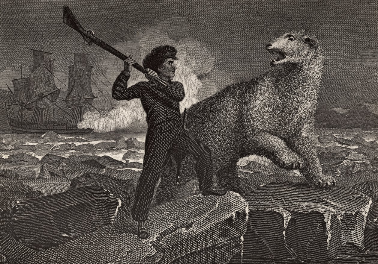 Nelsons møde med en bjørn, illustration fra 