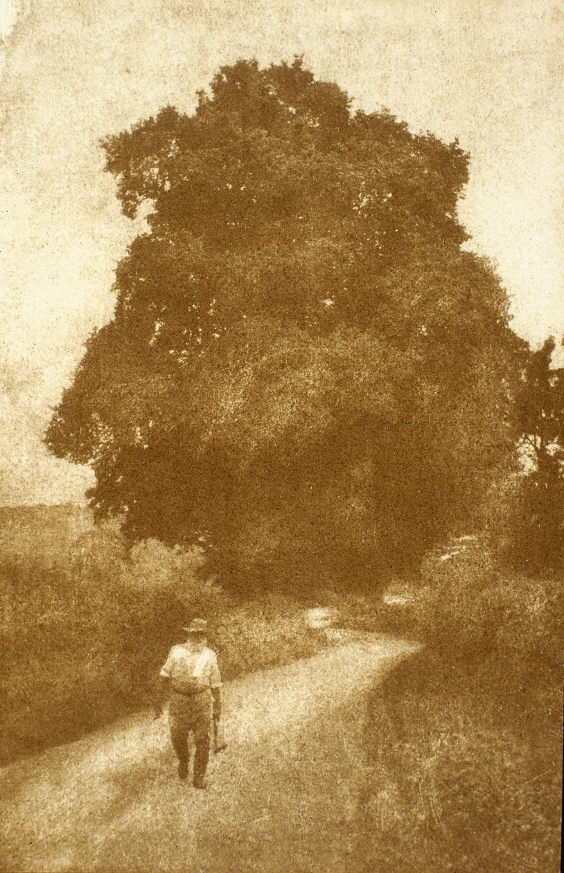 Surrey af John Pardon