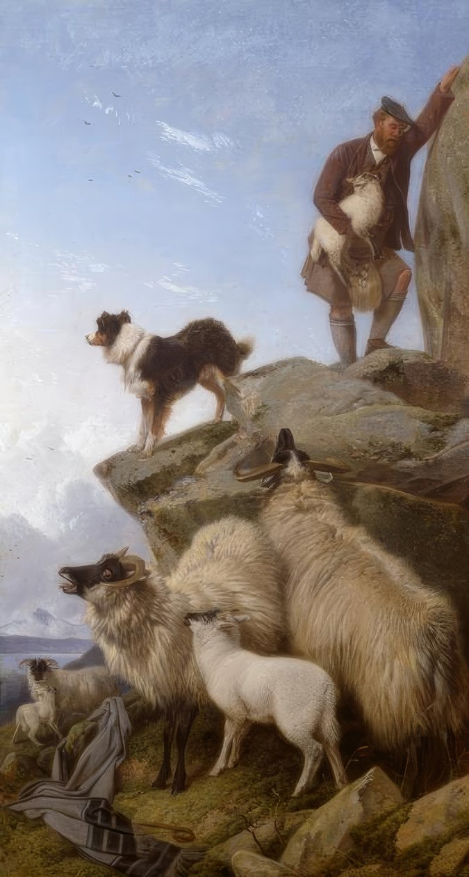 R.Ansdell, The Stray Sheep / maleri, 1868 af Richard Ansdell
