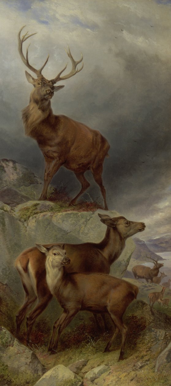 Dyreskoven af Richard Ansdell