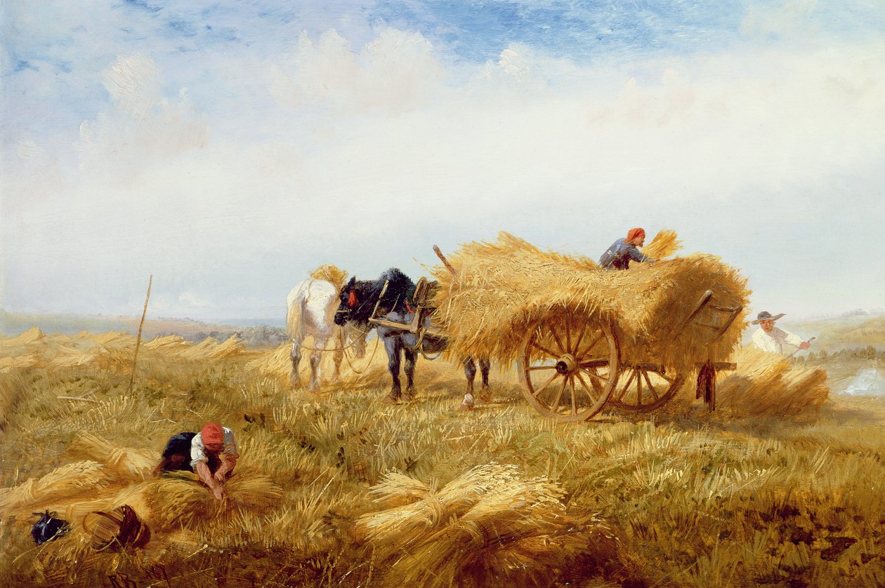 Høst, nær Boulogne-sur-Mer af Richard Beavis