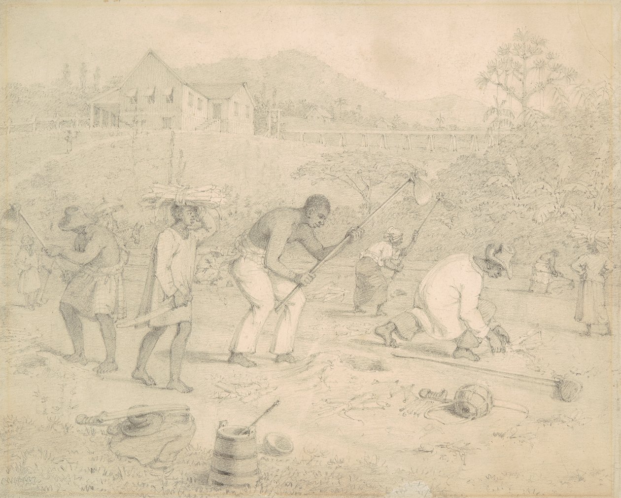 Plantning af sukkerrør (Trinidad) af Richard Bridgens
