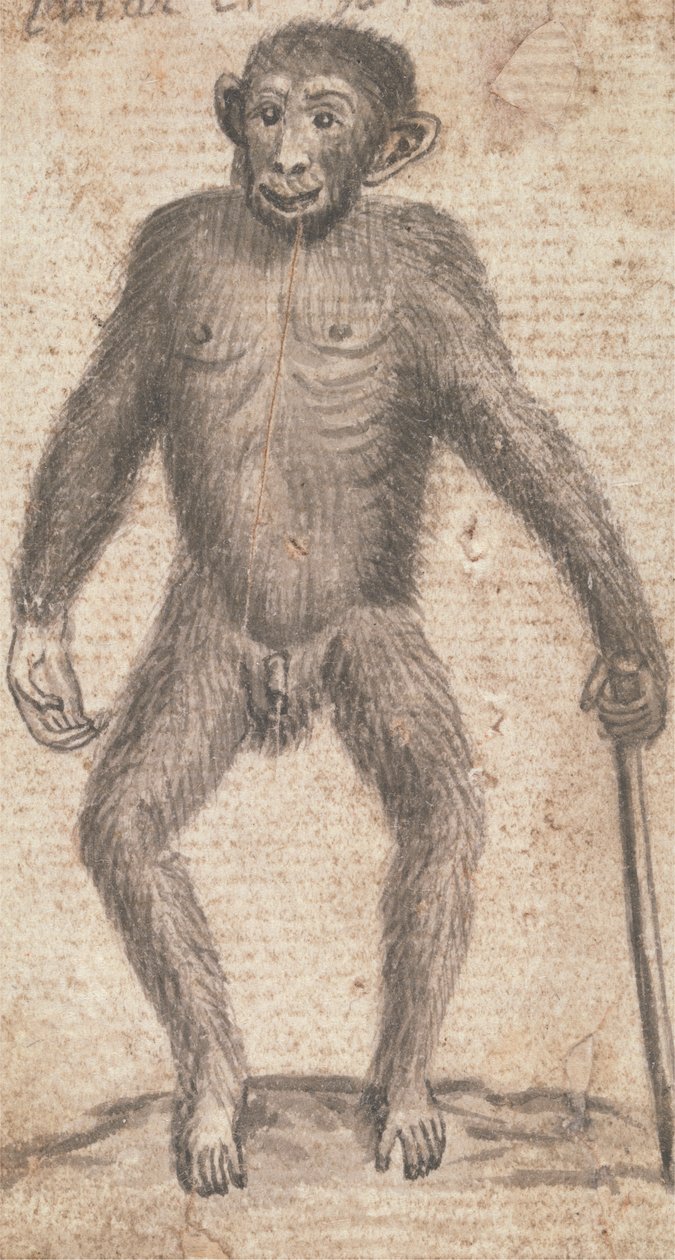 Aber (en af tre på ét beslag) af Richard Brookes