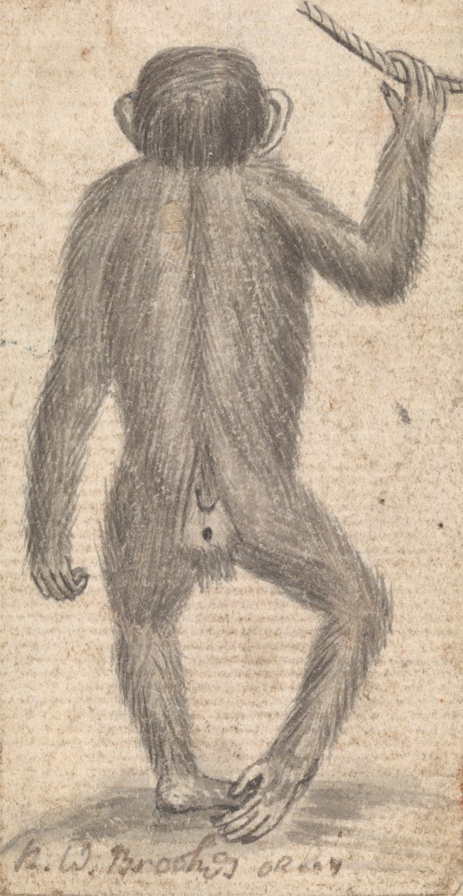 Aber (en af tre på ét beslag) af Richard Brookes