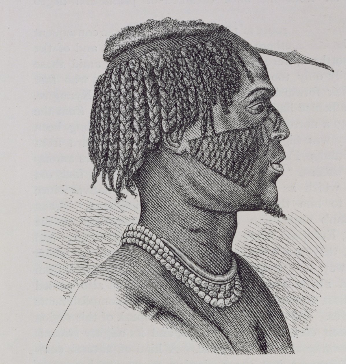A Zandeh, fra 