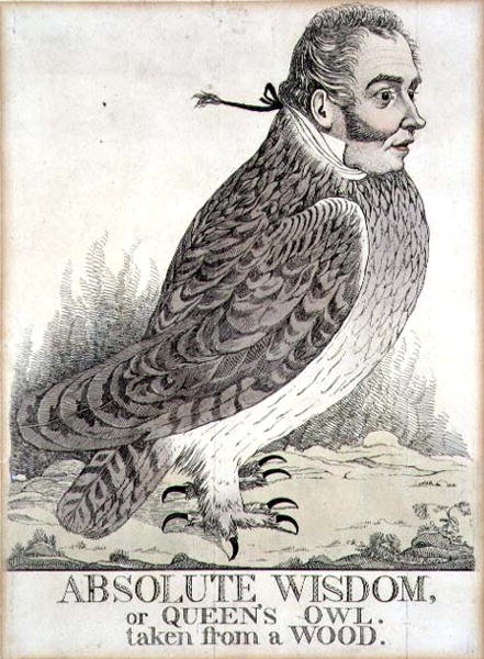 Absolut visdom eller Dronningugle taget fra et træ (gravering) af Richard Dighton