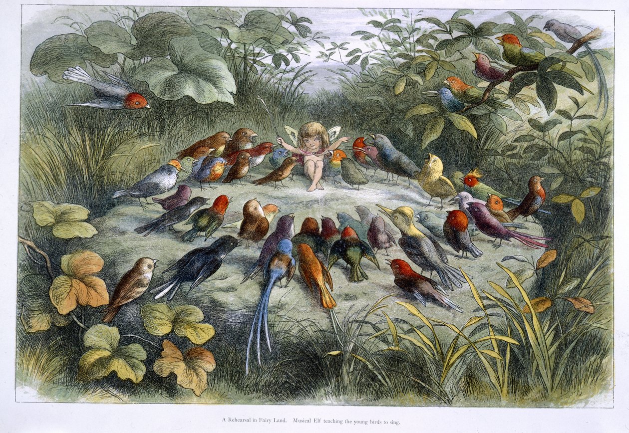 En nisse og fugle af Richard Doyle
