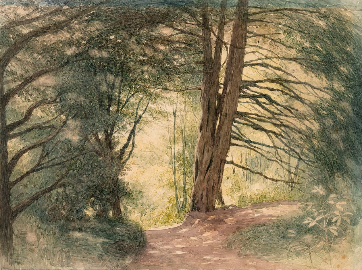 Box Hill, Surrey af Richard Doyle