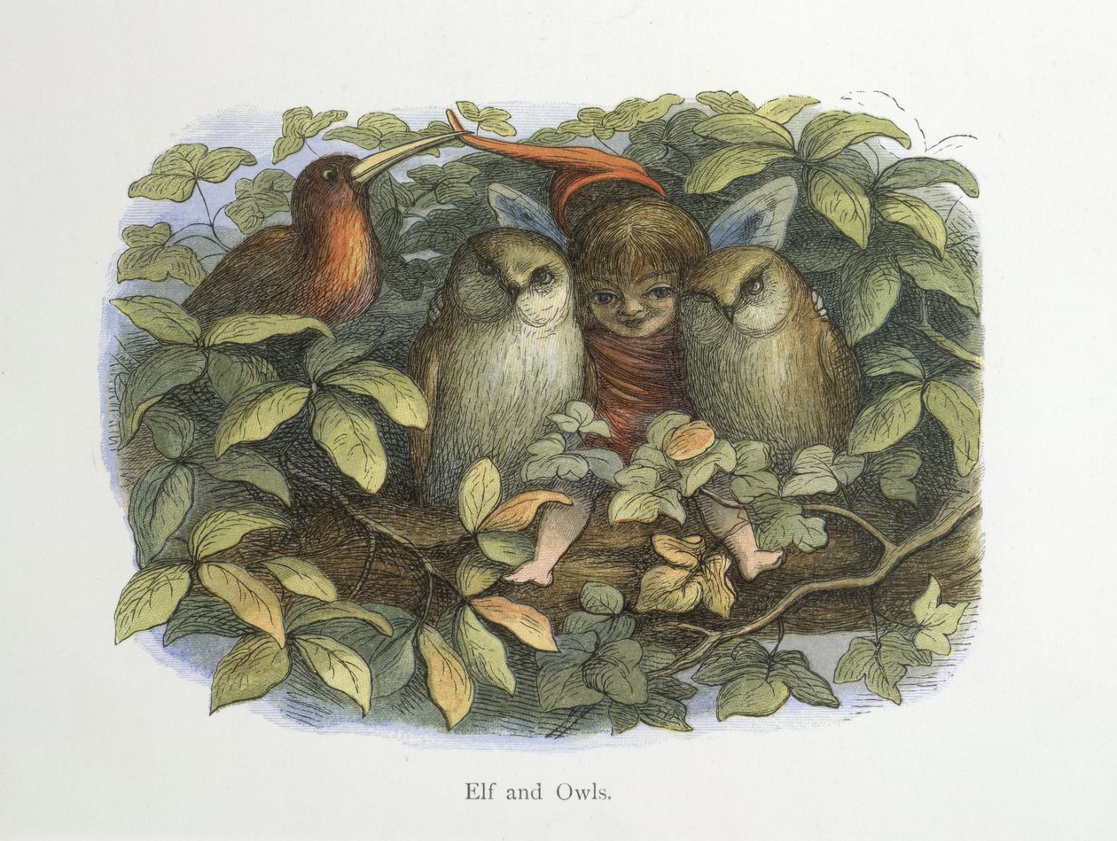 Alf og ugler af Richard Doyle