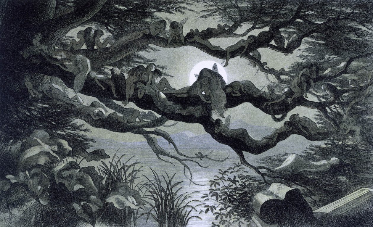 Feer, nymfer og alfer hviler i måneskin på en gren? Illustration af ""In Fairyland. En serie billeder fra alven - verden"" af Richard Doyle 1869-1870 The British Library Institution Reference: Opstillingsmærke ID: 1876 e18 