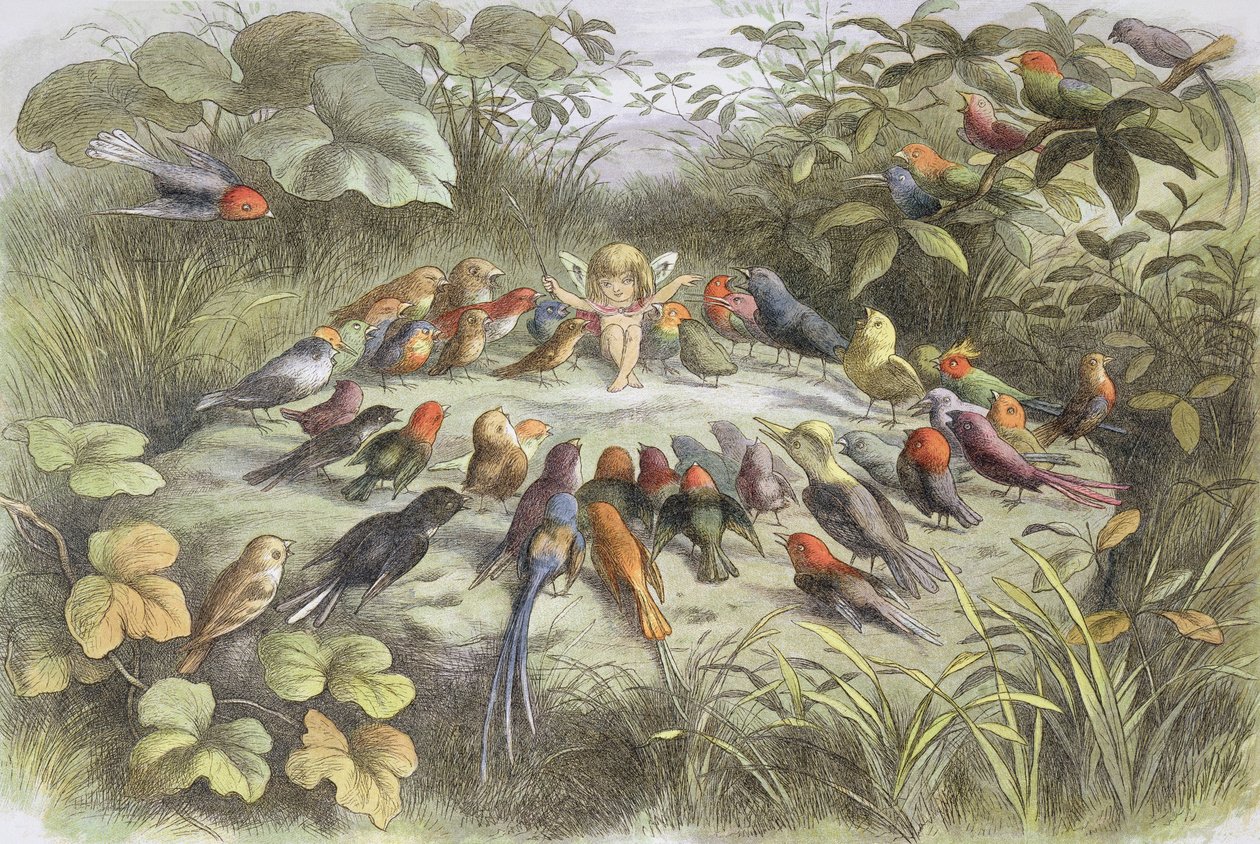 Musikøvelse i eventyrland (illustration fra "In fairy land. Pictures from the fairy world", af William Allingham og Andrew Lang af Richard Doyle
