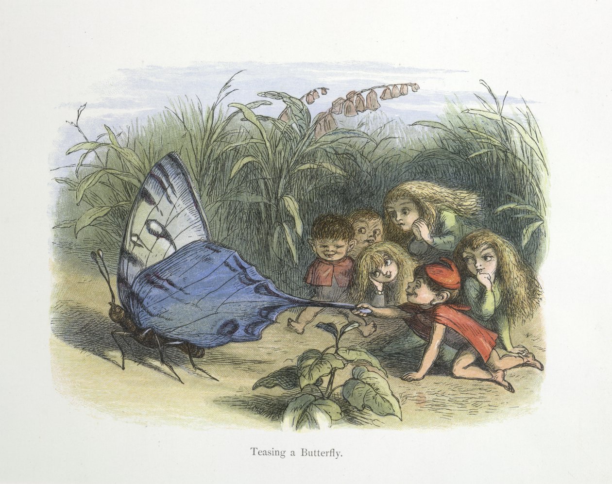 Driller en sommerfugl af Richard Doyle