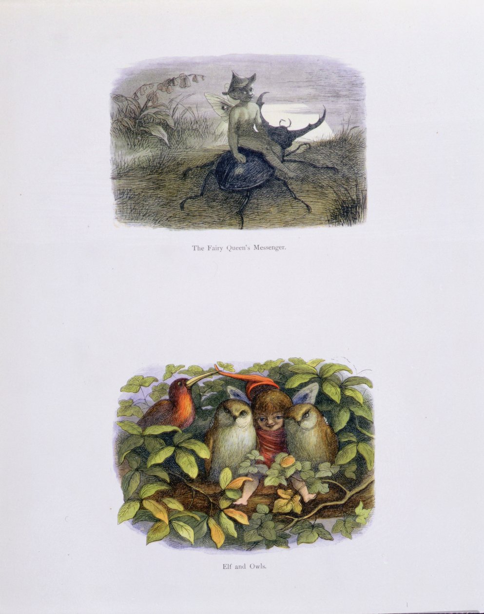 Eventyrdronningens budbringer og Elf og ugler, illustrationer fra "I Eventyrland: A Series of Pictures from the Elf-World" af William Allingham og Andrew Lang af Richard Doyle