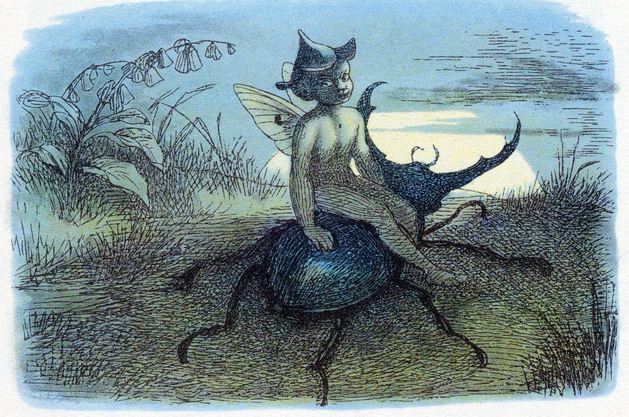 Eventyrdronningens budbringer, c1870 af Richard Doyle