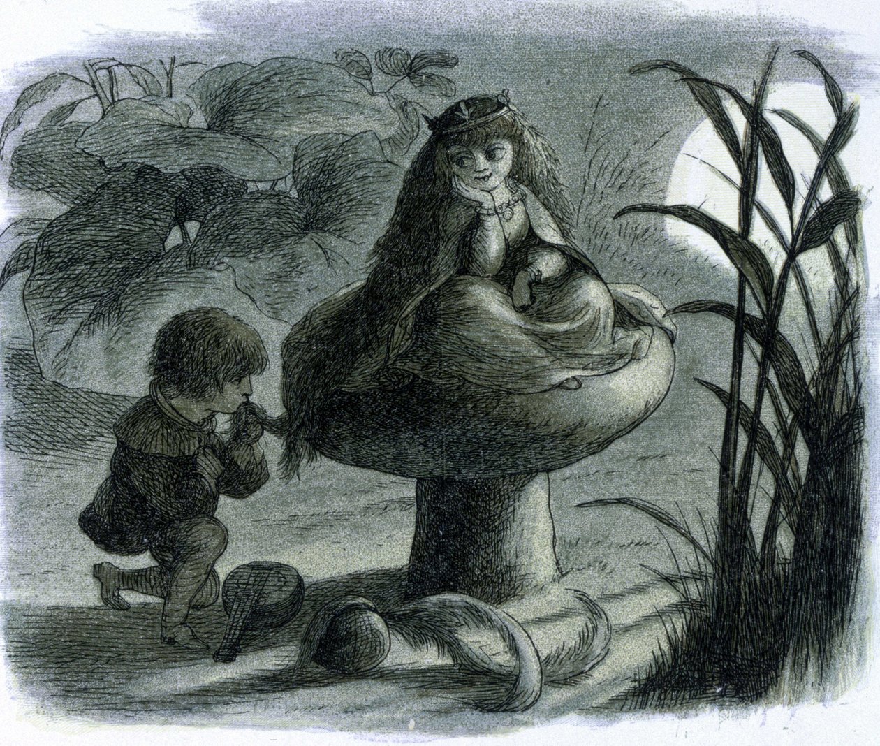 En vandfe, der sidder på en svamp, kureres af en elsker. I ""Verden af ​​feer"" af Richard Doyle af Richard Doyle