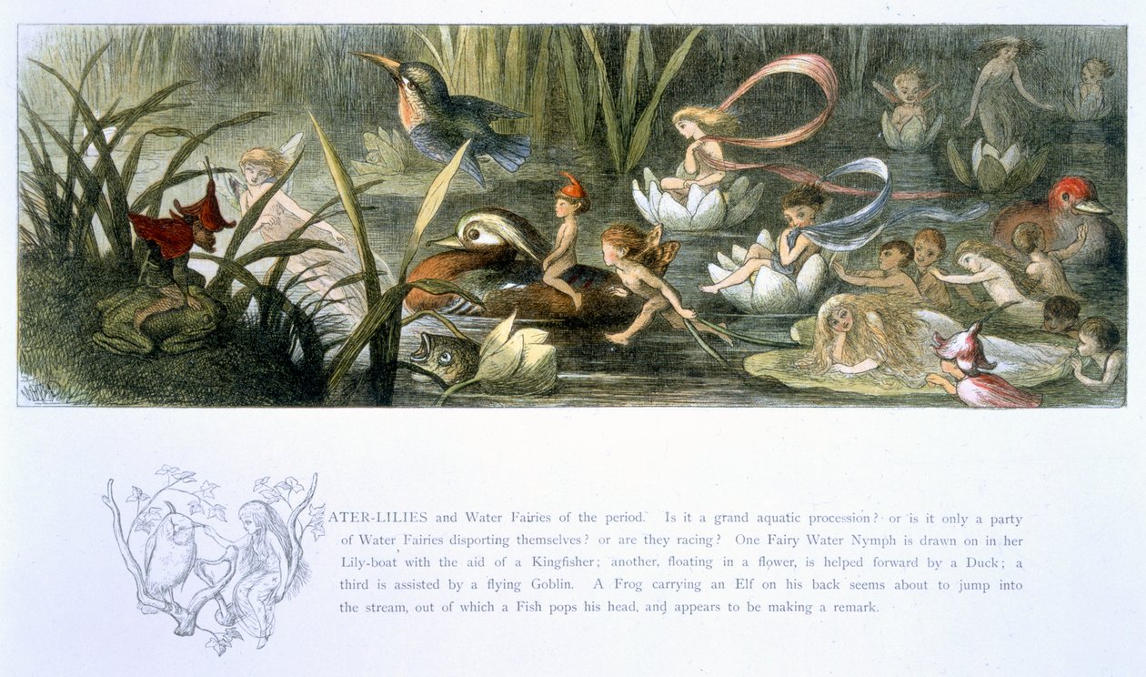 Water-Lilies and Water Fairies, illustration fra 