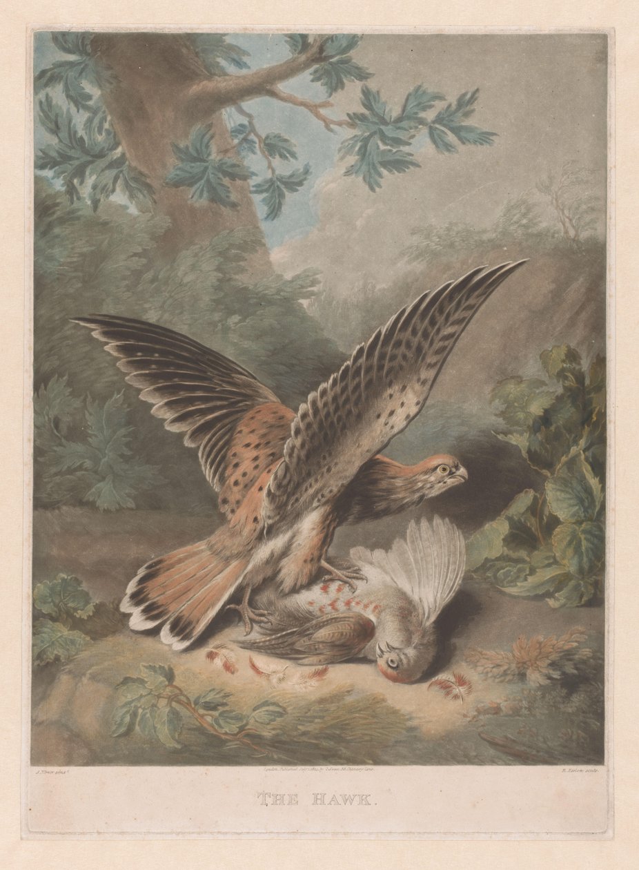 Høg vogter sit bytte The Hawk (titel på objekt) af Richard Earlom