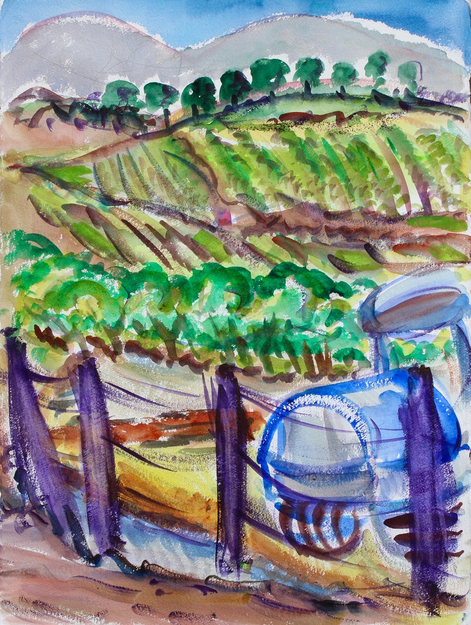 Blue Tractor, Napa Valley, 2017 af Richard Fox