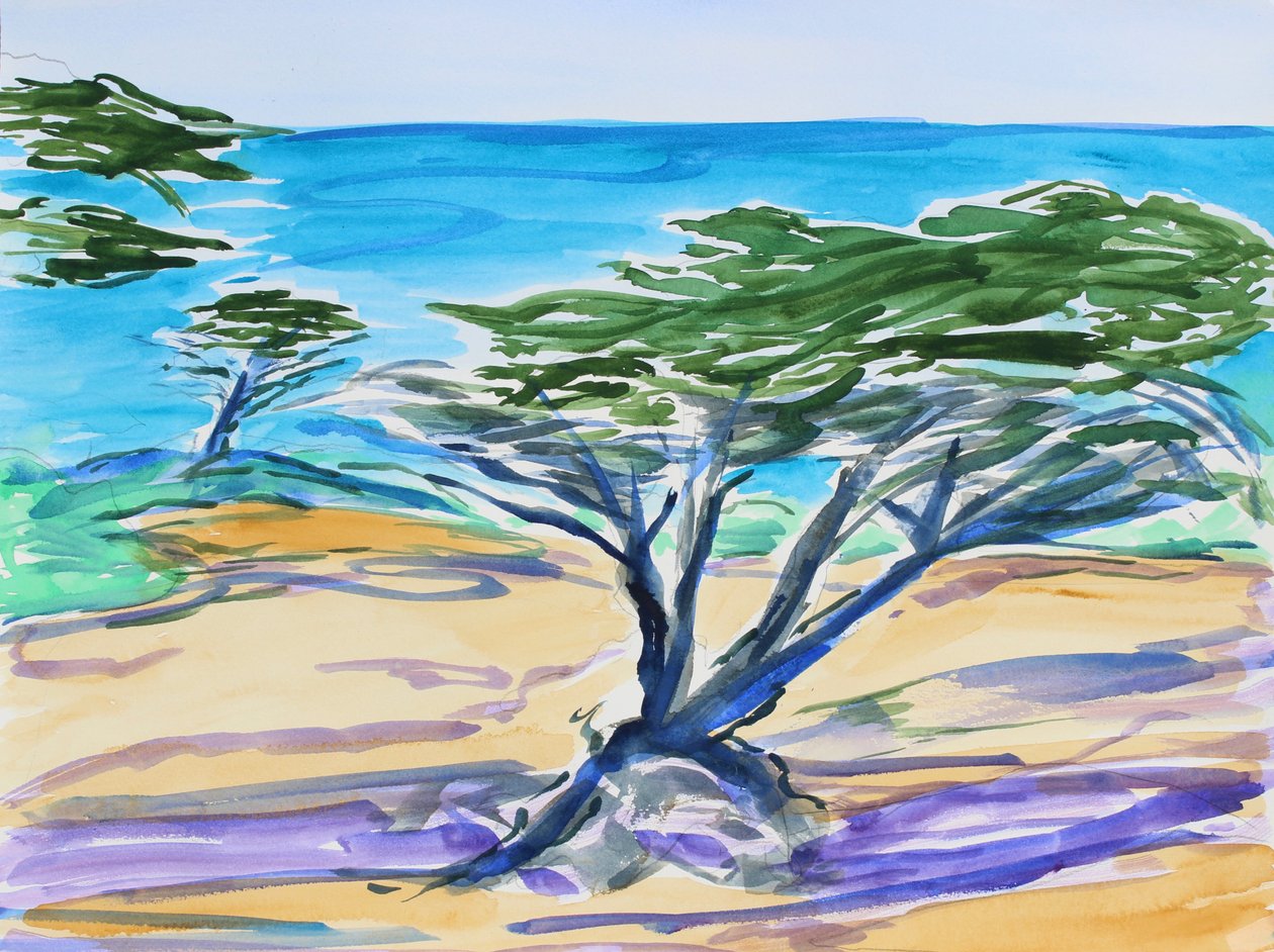 Cypress Tree, Carmel Bay, 2019 af Richard Fox