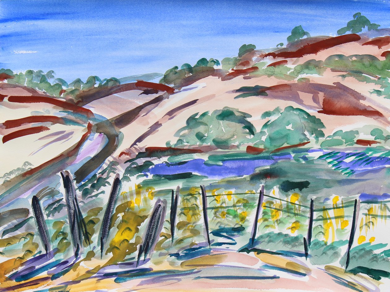 Dry Hills, Northern California, 2021 (akvarel på papir) af Richard Fox