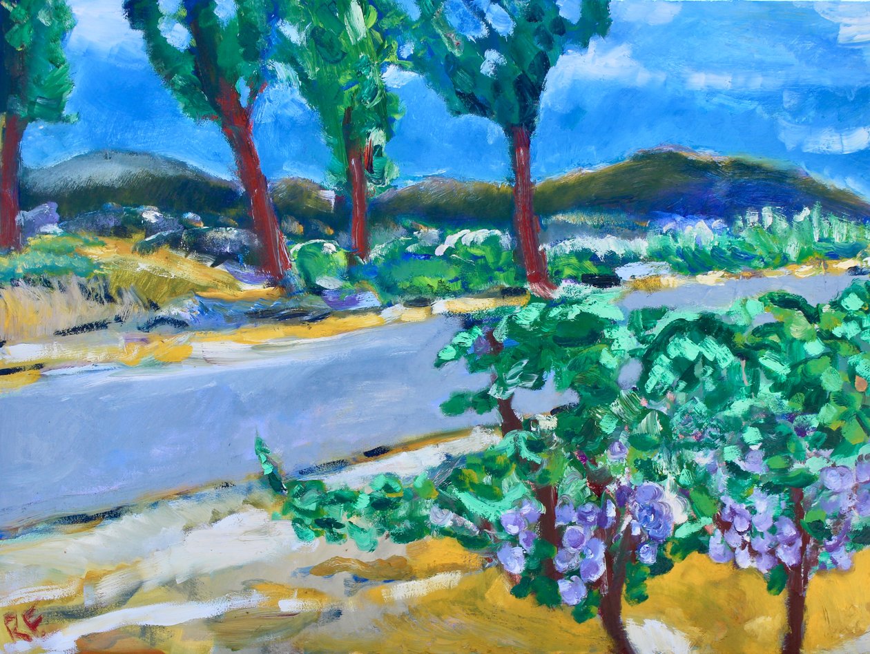 Roadside Vineyard, Napa, 2017 af Richard Fox