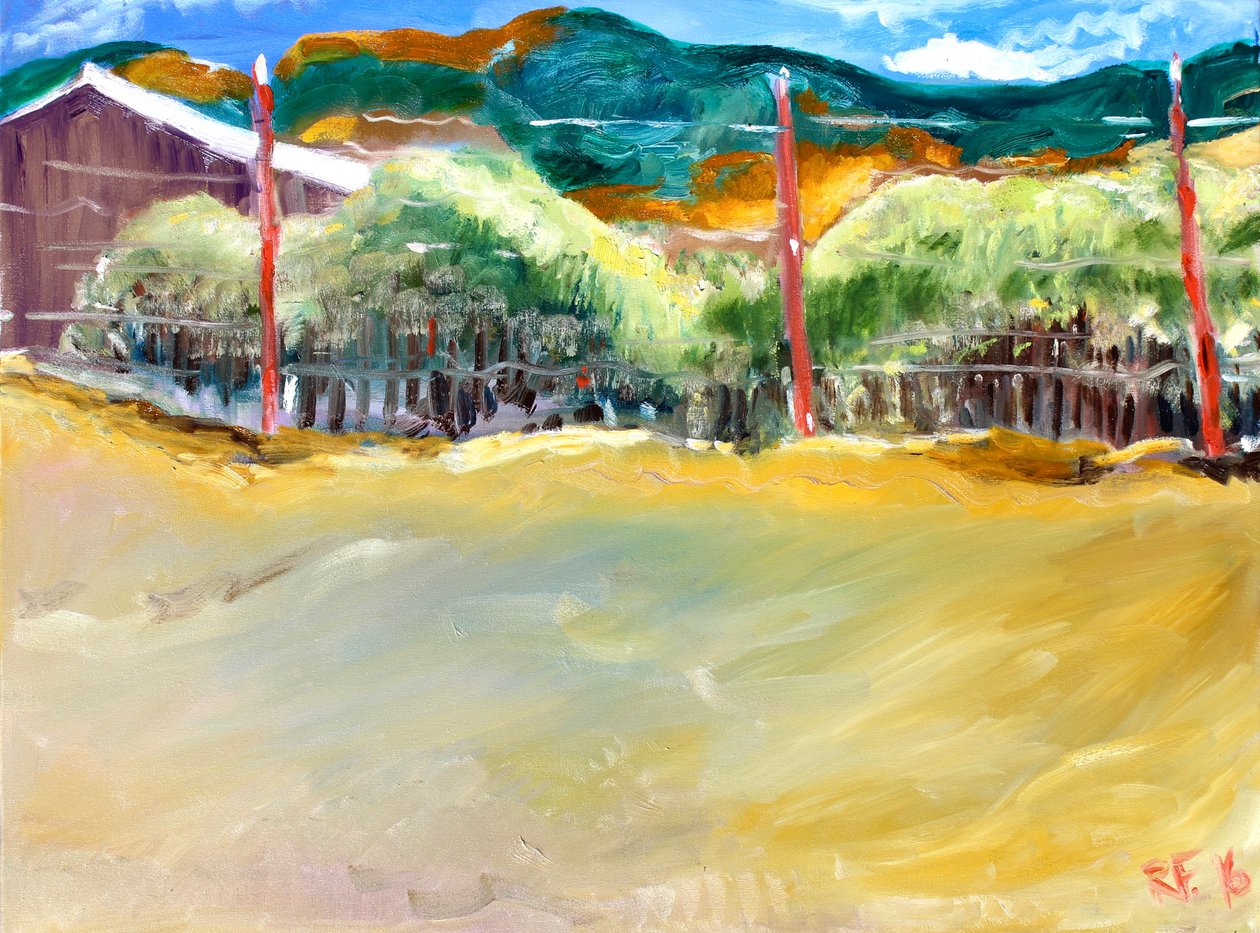 Vineyard, Sonoma, 2017 af Richard Fox