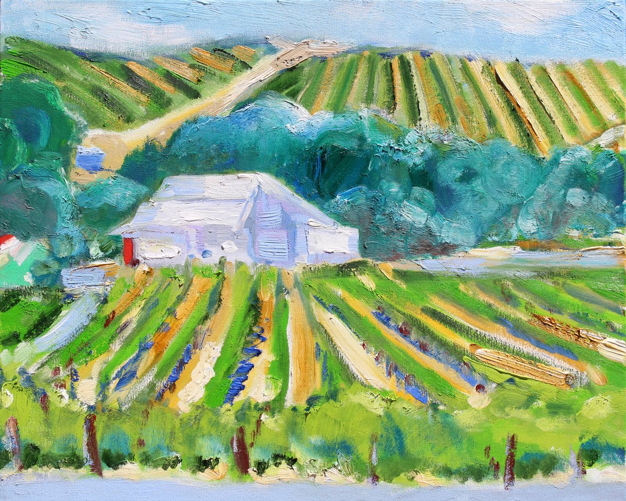 White Barn and Vineyard, Napa, 2019 af Richard Fox