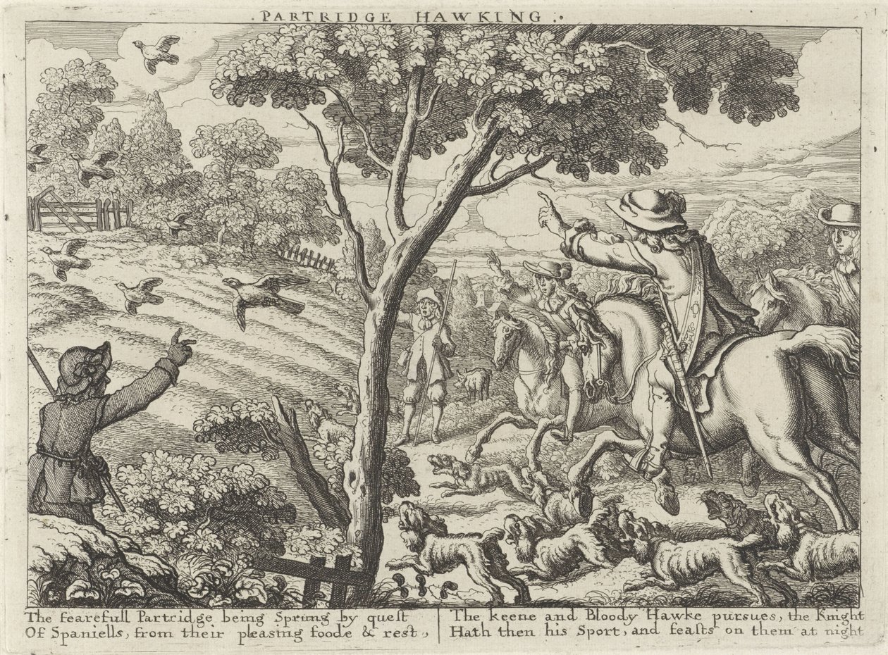 Jacht op patrijsvogels Partridge Hawking (titel på objekt) Jachtpartijen (serietitel) Flere måder at jage, jage og fiske på, ifølge engelsk maner (serietitel) af Richard Gaywood (possibly)