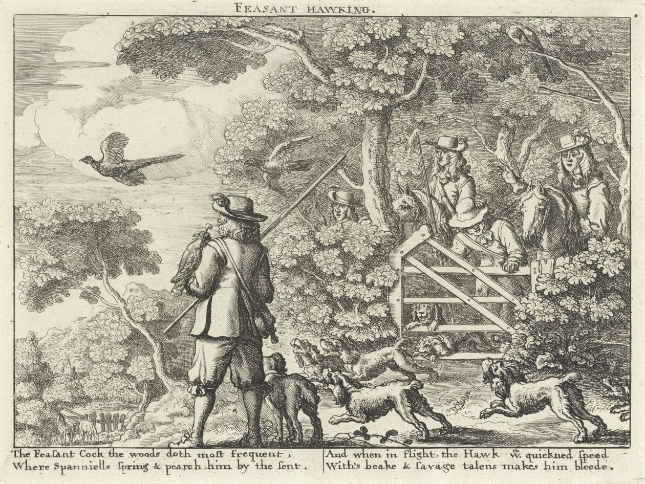 Valkenjacht op fazanten Feasant Hawking (titel på objekt) Jachtpartijen (serietitel) Flere måder at jage, jage og fiske på, ifølge engelsk maner (serietitel) af Richard Gaywood (possibly)