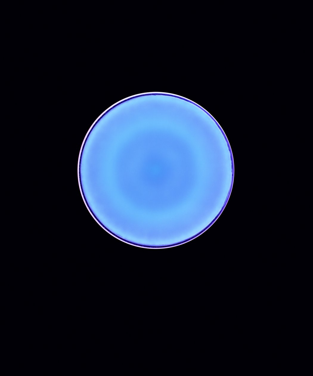 Circle X, 2005 (digitalt c-type fotogram) af Richard Green