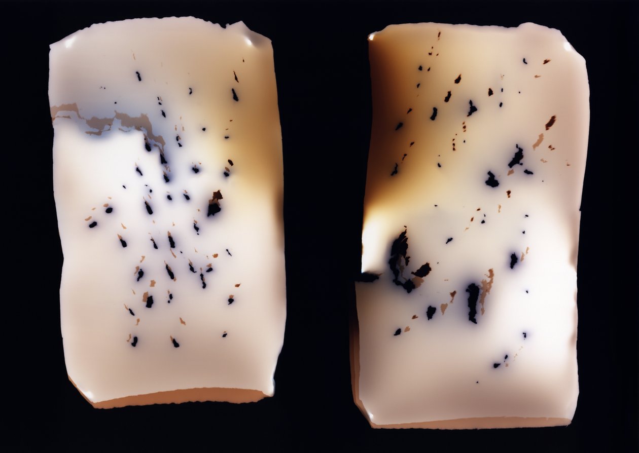 Uden titel (dobbeltundersøgelse), 2001 af Richard Green