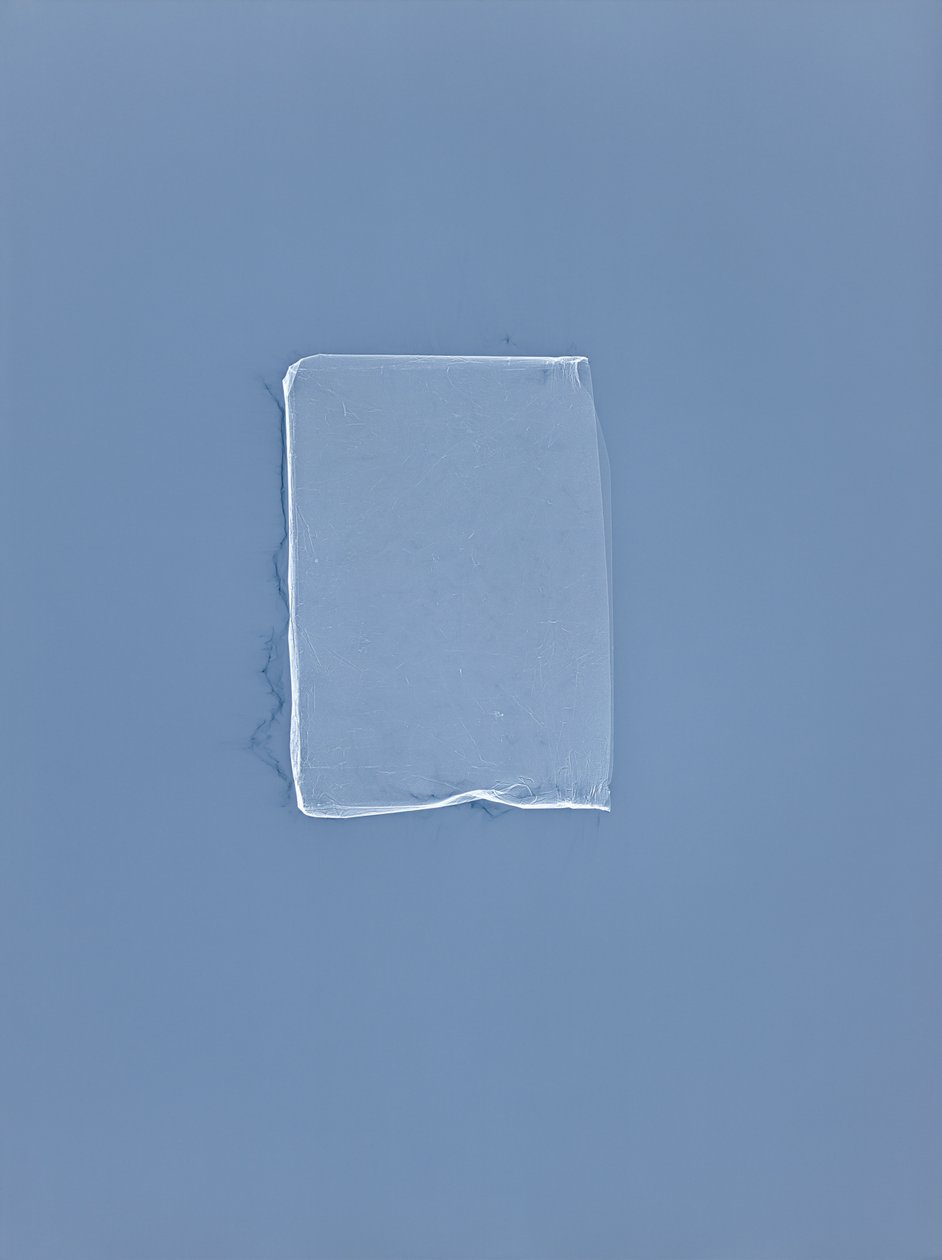 Uden titel, 2001 af Richard Green